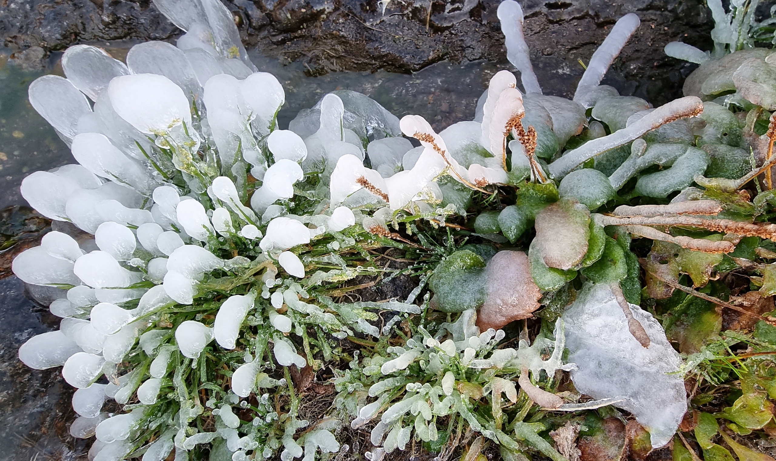 기사 대표 이미지