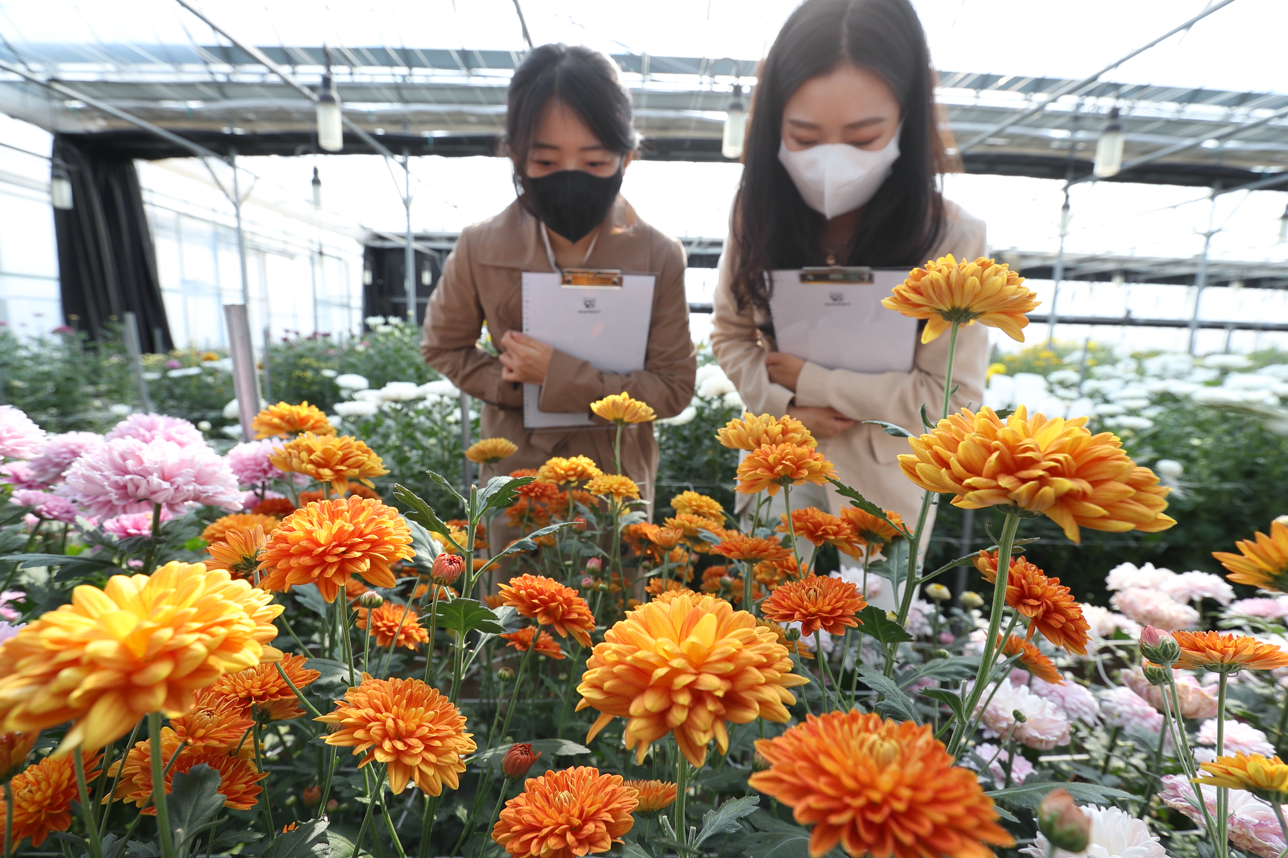 기사 대표 이미지