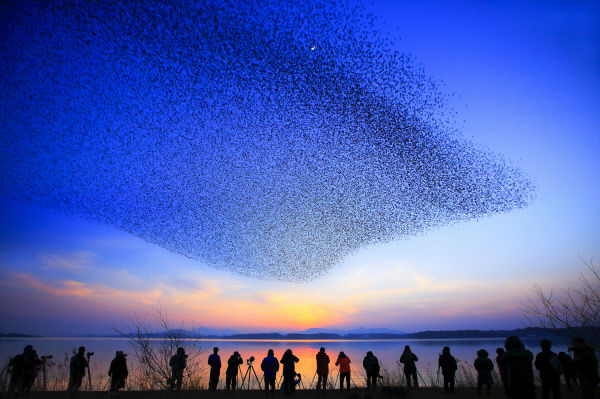 기사 대표 이미지