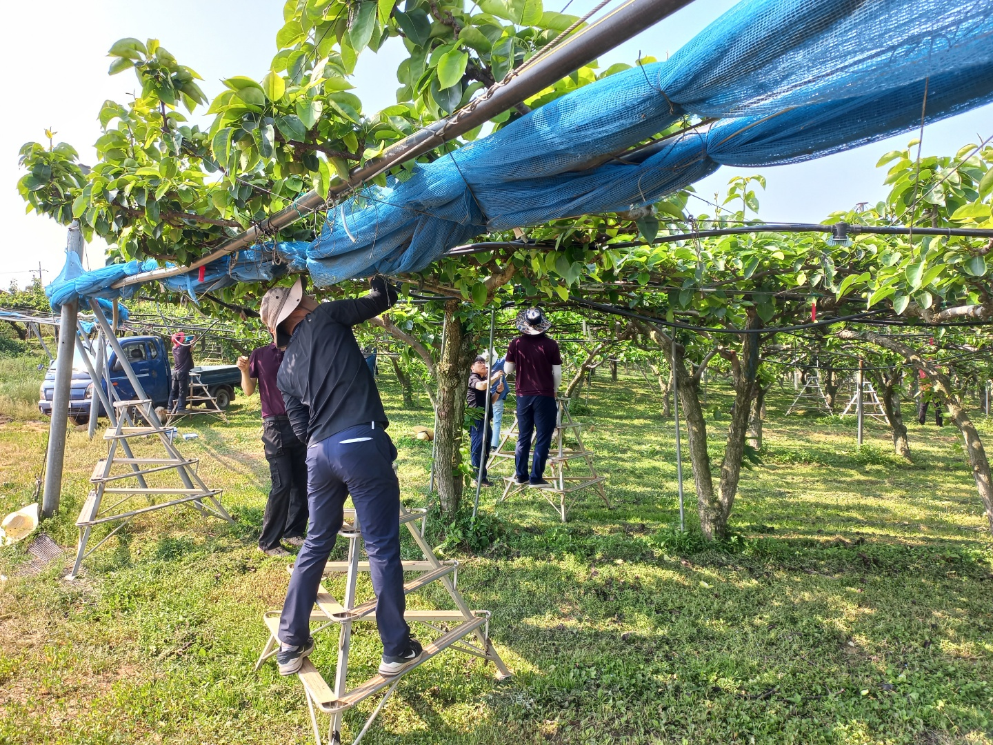 기사 대표 이미지