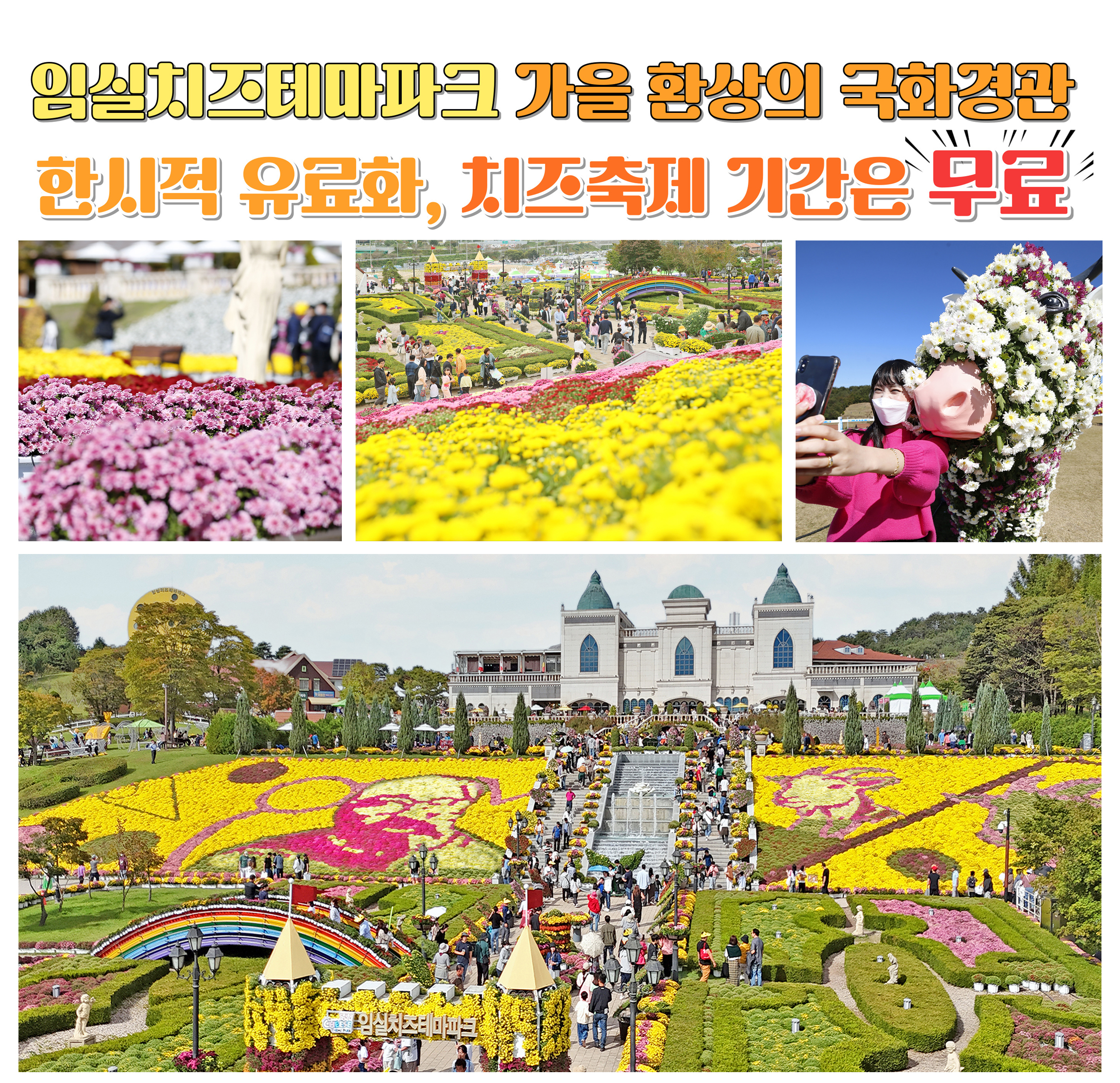 기사 대표 이미지