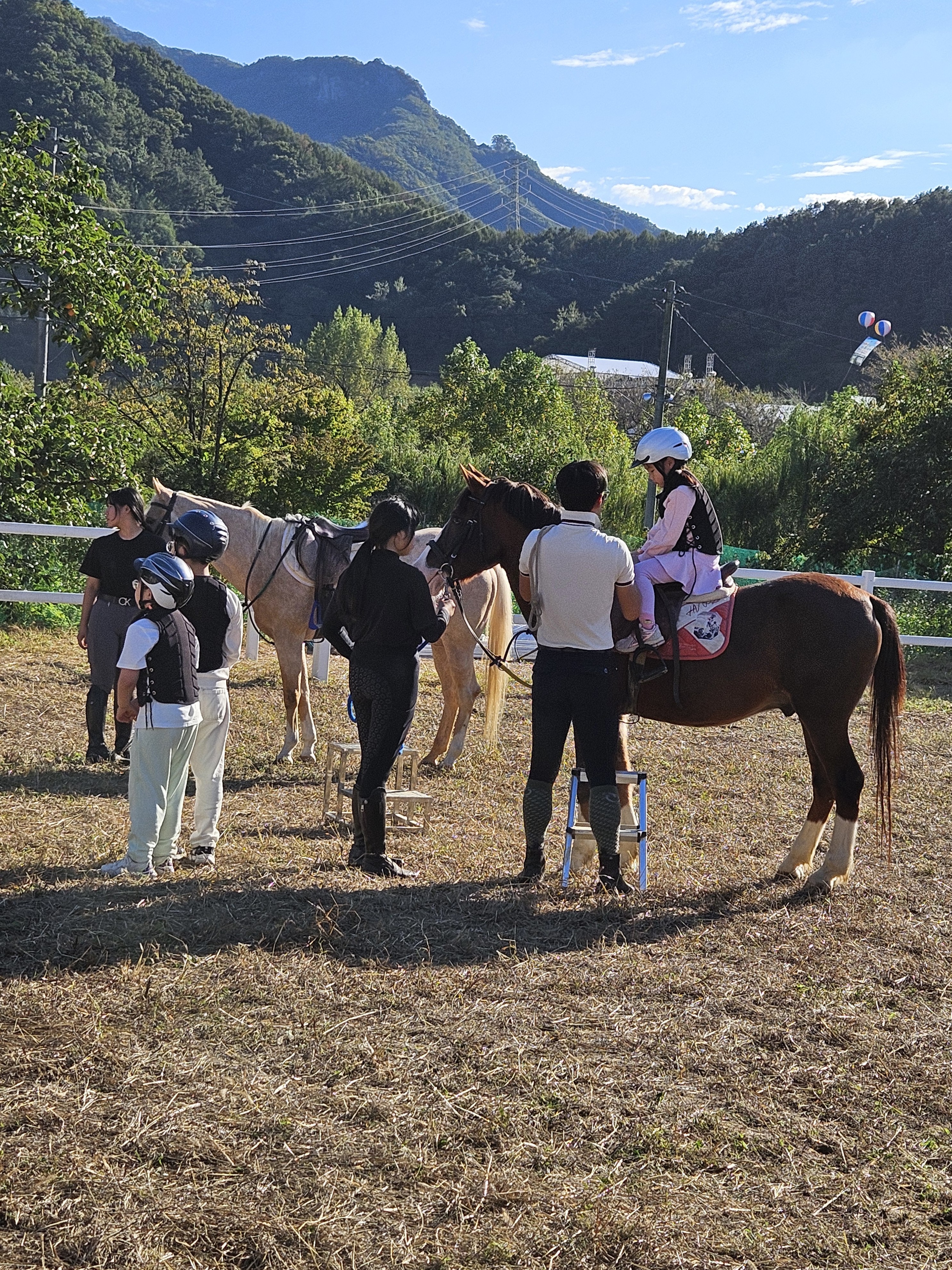 기사 대표 이미지
