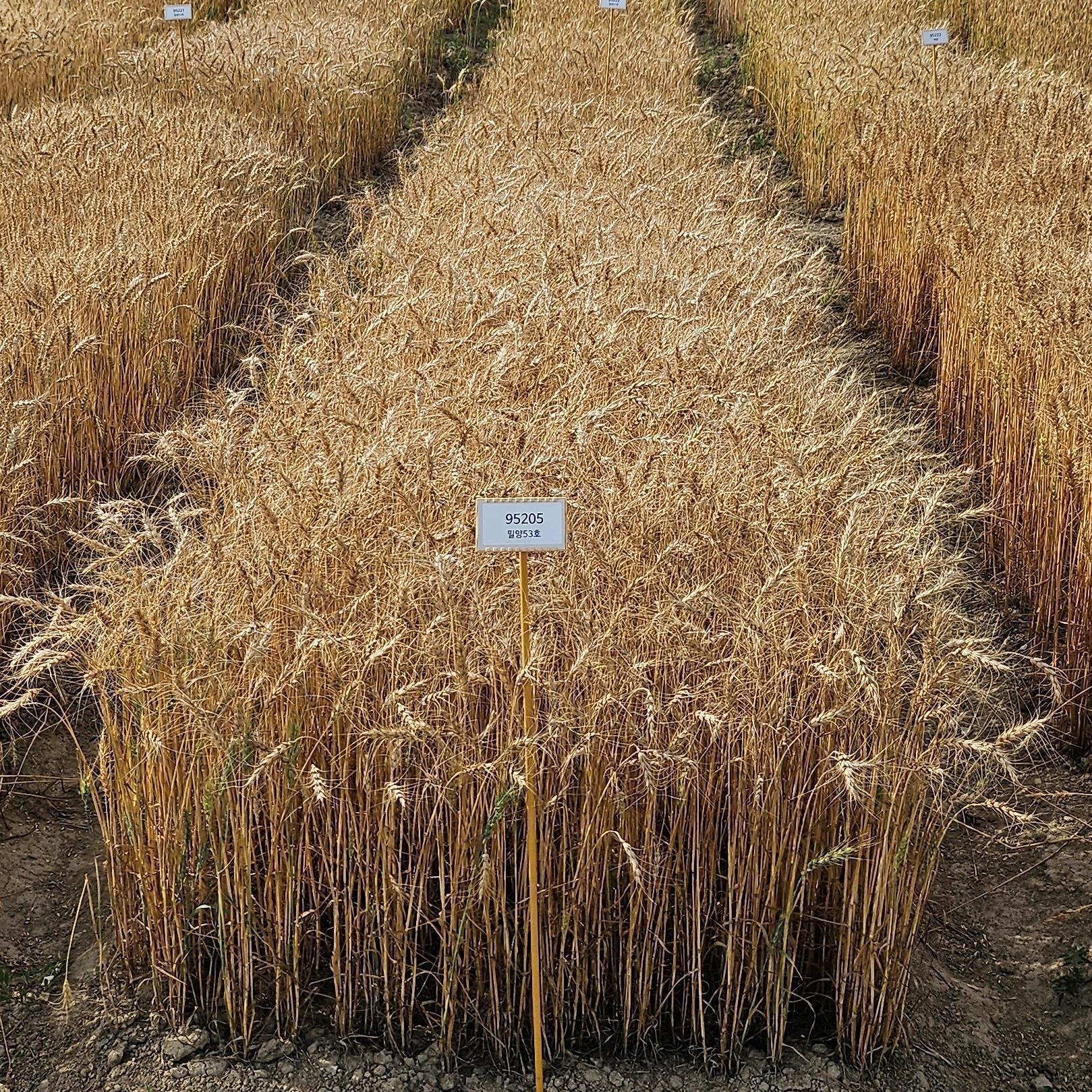 기사 대표 이미지