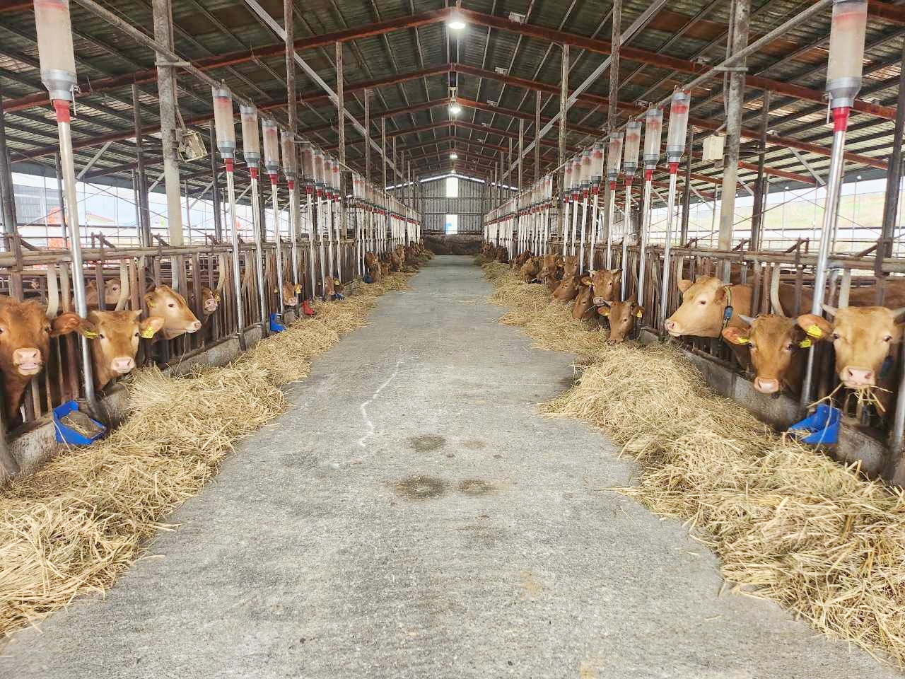 기사 대표 이미지