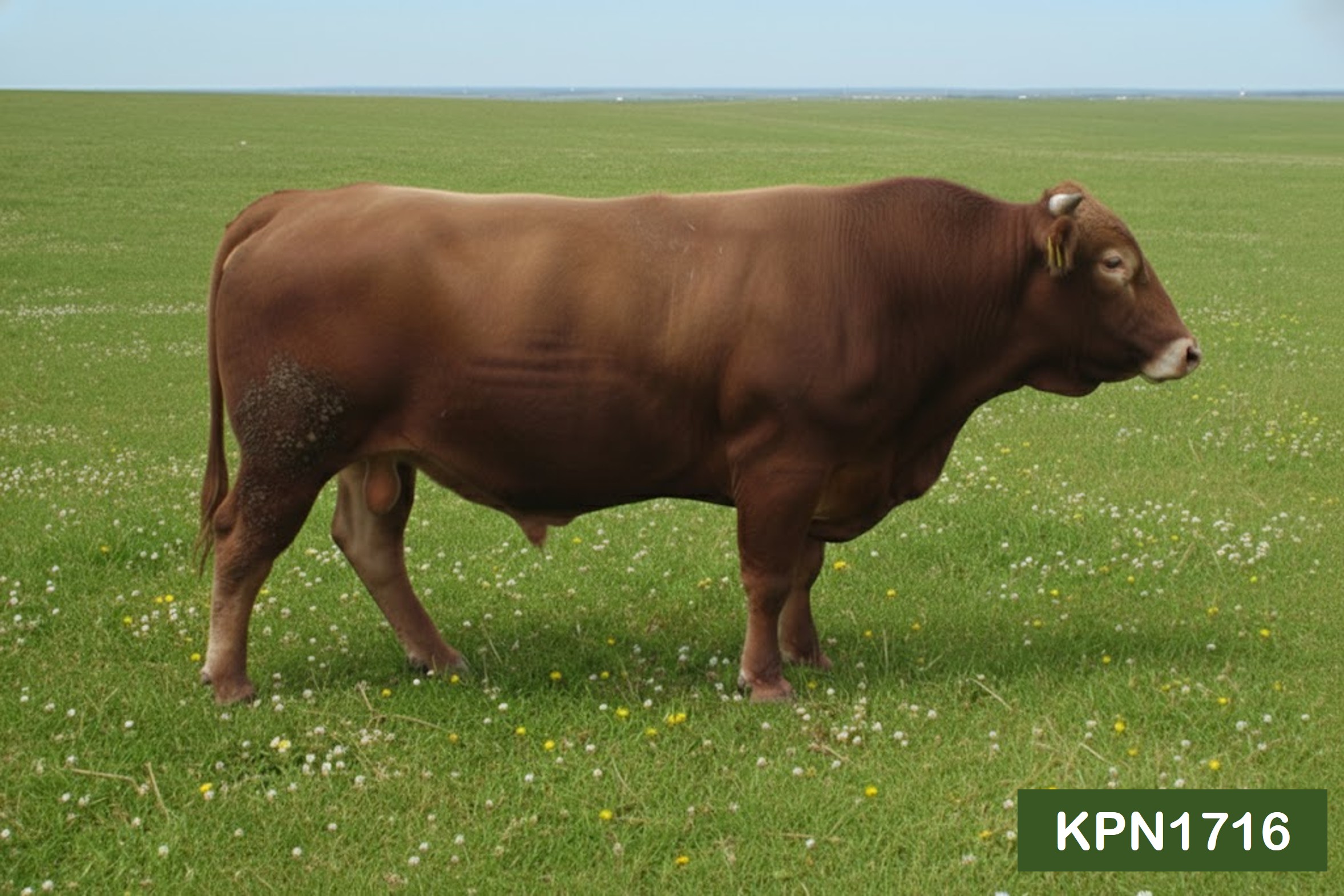 기사 대표 이미지