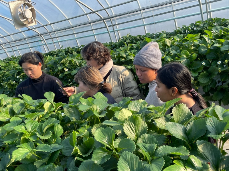 완주군, 외국인 계절근로자 현장 지원 총력