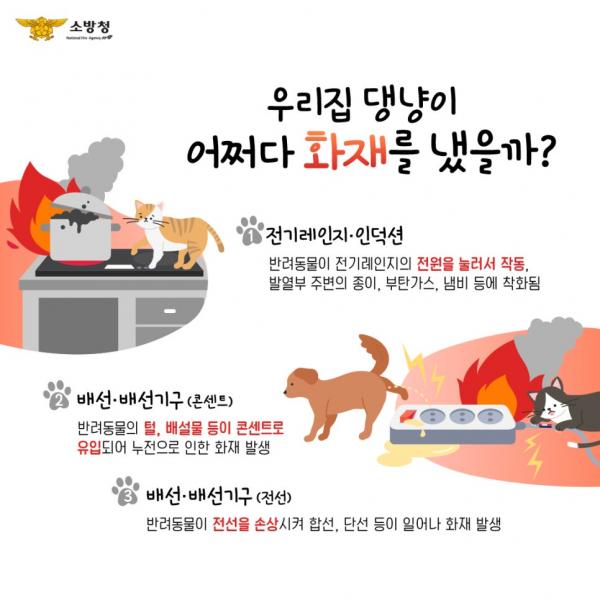 정읍소방서, 겨울철 전기 화재 반려동물 조심  홍보 나서
