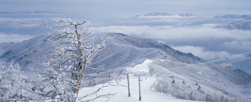 무주덕유산리조트 실크로드 슬로프 오픈