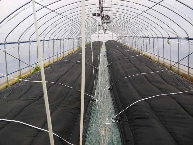 ‘최강 한파’ 예보, 농작물 언 피해 예방·농업시설물 관리 철저 당부