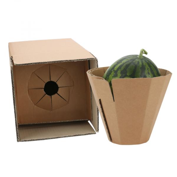 대형 과일류 파손 줄이는 ‘친환경 접이식 포장재’ 디자인 개발