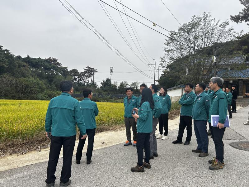 고창군, 소나무재선충병 방지 9억원 투입