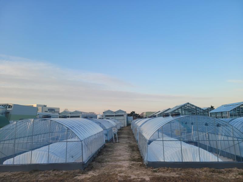 국산 콩 활용 ‘글루텐-프리’ 식물성 단백질 소재 개발