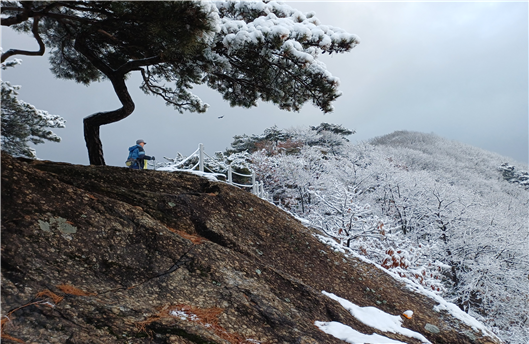 [어쩌다 농부]“노느니 산림기사 공부” 7개월만에 합격 선물