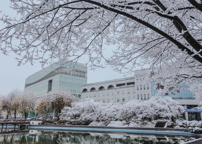 원광대, 2025년 ‘고교생 맞춤형 고용서비스’ 성과평가 우수 등급