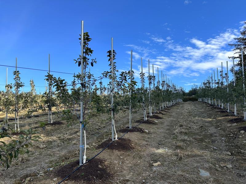 무주군 과수 고품질 시설현대화 등 맞춤형 지원 확대
