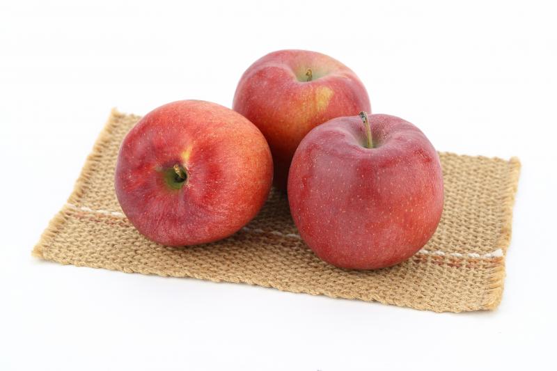 설 앞두고 국산 과일 소비 촉진…사과·배 똑똑하게 고르기