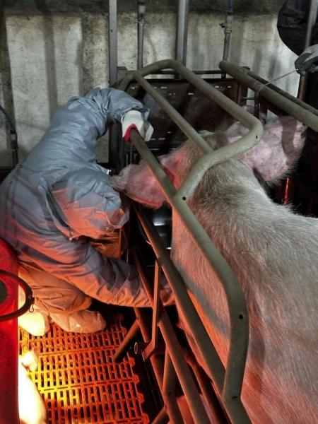 ��� ��ǥ �̹���