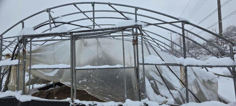 대설 한파에 수도 터지고 하우스 무너지고