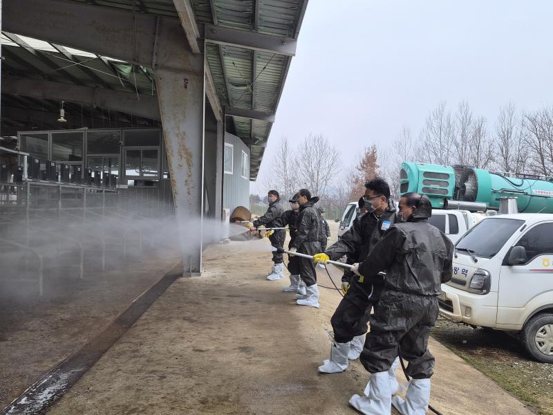 전북농협, 설 명절 전후 가축전염병 특별방역 추진 