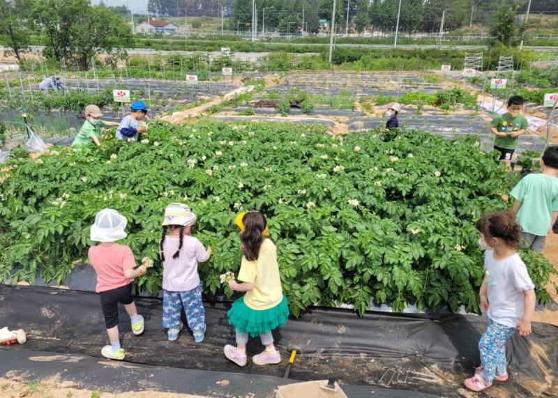  익산시, 도심 속 텃밭 '주말 가족농장' 운영