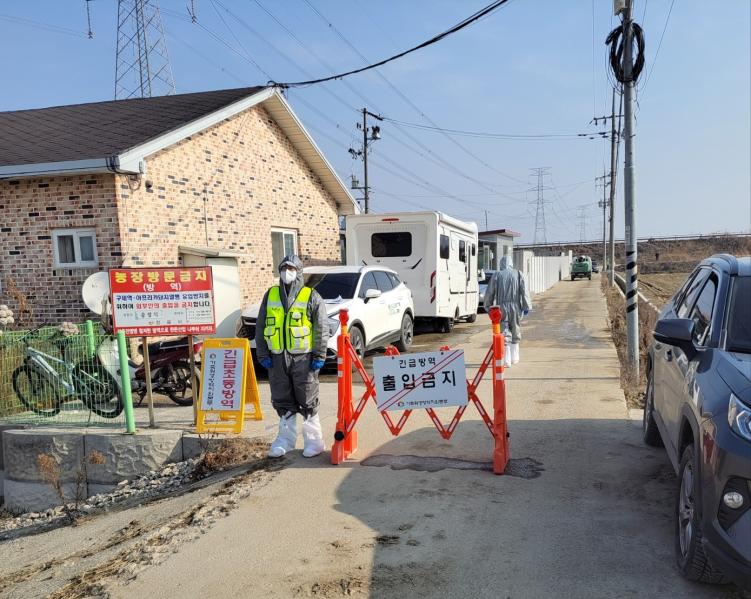 정읍시, 아프리카돼지열병 확진. 현재까지 추가 확산 없어

