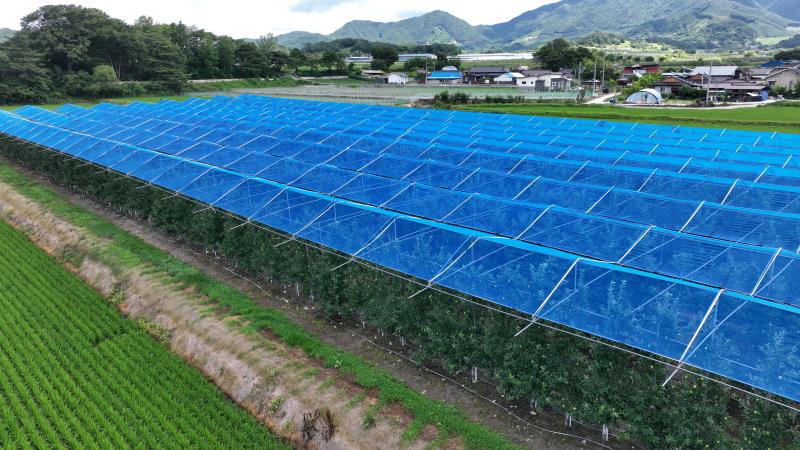 무주군 시설원예 분야 사업 추진