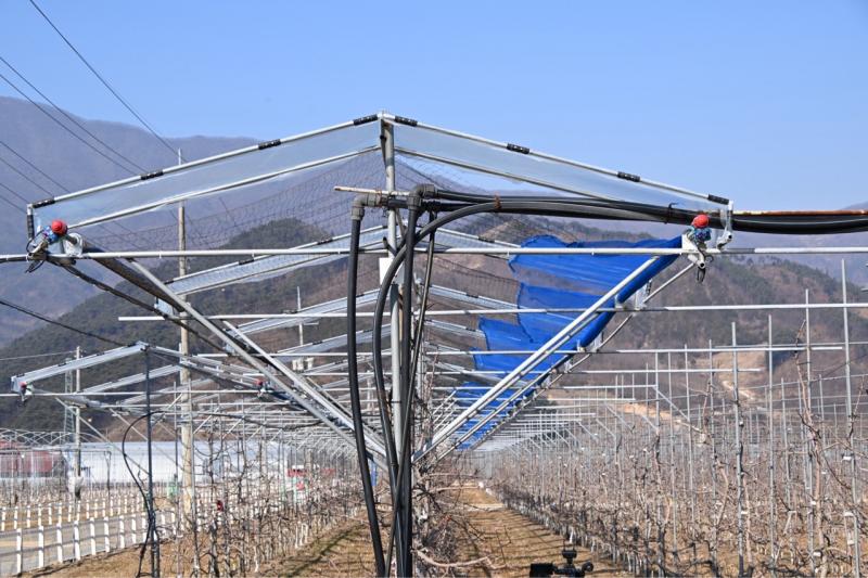 장수군,  ‘기후변화 대응 과원 피해저감 시설지원’으로 기후 위기 넘는다