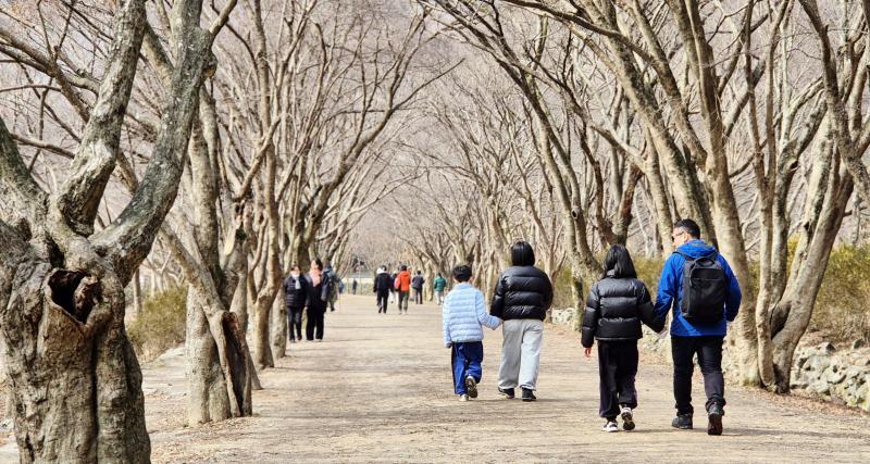 ■ 봄가뭄 걱정되네
