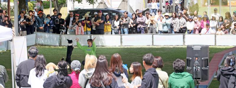 임실군 오수의견 국민여가 캠핑장, 전국 펫 여행 성지 급부상