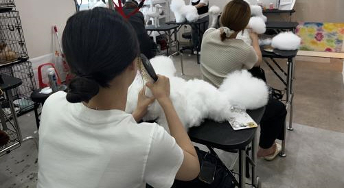  익산시, 학교 밖 청소년의 꿈 키운다