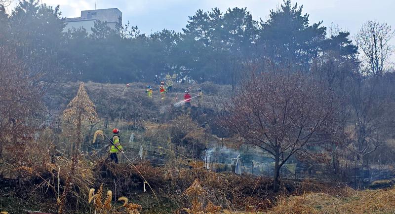 건조한 날씨 속 주말 사이 산불 8건 출동. 정읍시 “경각심 절실”

