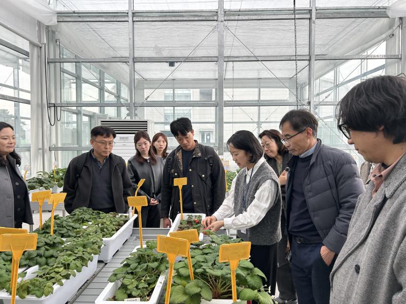  ‘기관 간 공동 대응’으로 딸기 유전자원 안전보존 강화