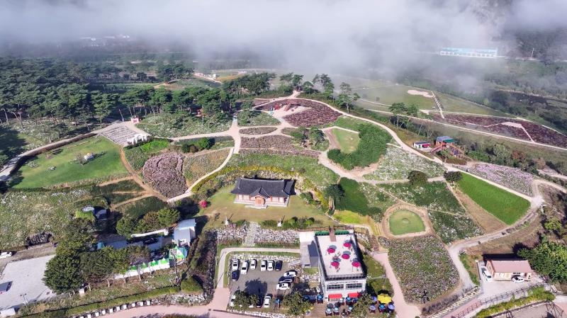  정읍시, 2026 구절초 꽃 축제 “명품 휴식과 착한 가격” 준비 ‘착착’
