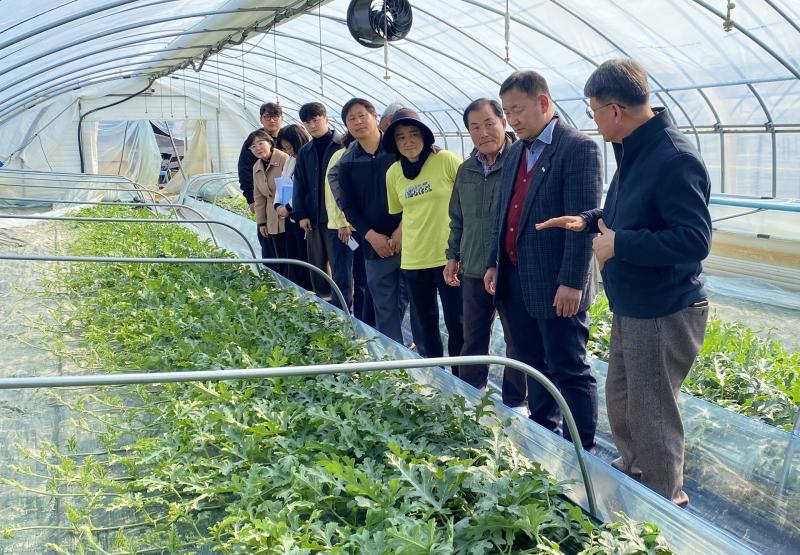 전북농기원, 지역 명품 촉성재배 수박 현장 찾아