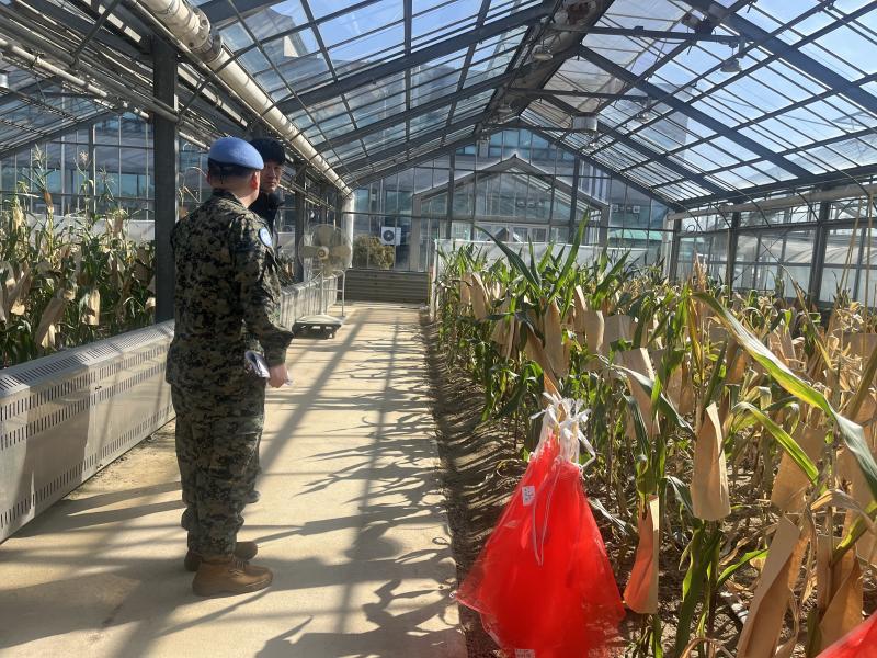 농촌진흥청, 남수단 한빛농장에 케이(K)-농업기술 뿌리내린다