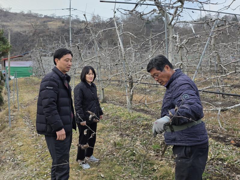 무주군 돌발 해충 월동난 예찰