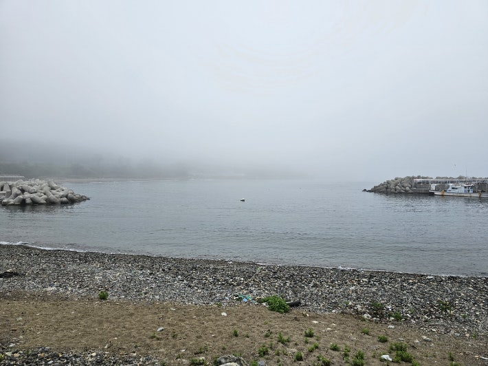 부안해경, 봄철 농무기 위험예보제 ‘관심’ 단계 발령
