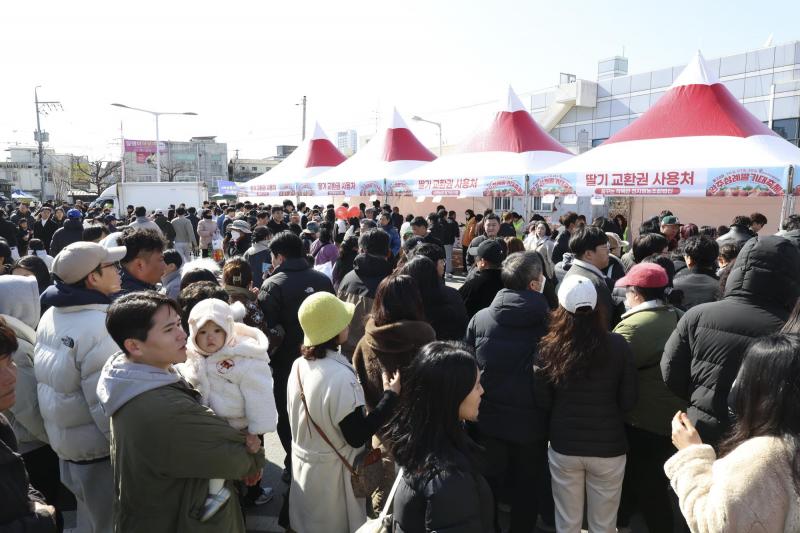 완주삼례딸기대축제 12만명 몰리며 완주 대표 봄 축제 자리매김