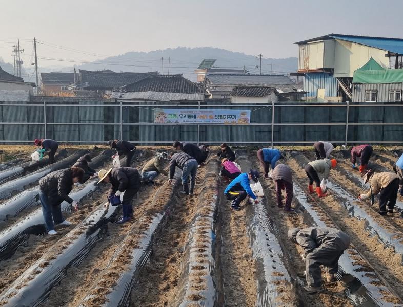 남원시 금동, ‘우리동네 사랑나눔 텃밭’ 운영