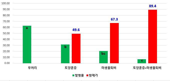 고랭지배추 반쪽시들음병, 이렇게 하면 방제 효과 탁월