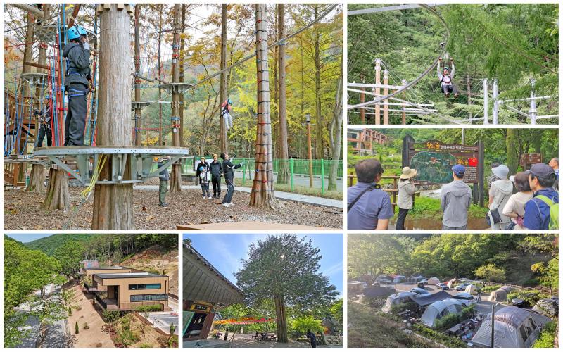 임실 성수산, 산림 레포츠·숲 해설 프로그램 본격운영 