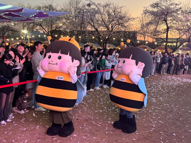 김제시 대표 봄 축제‘ 김제 꽃빛드리축제’ 4월 3일 개막