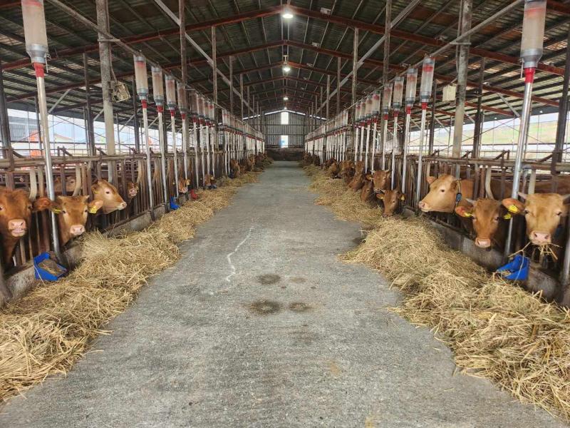 기사 대표 이미지