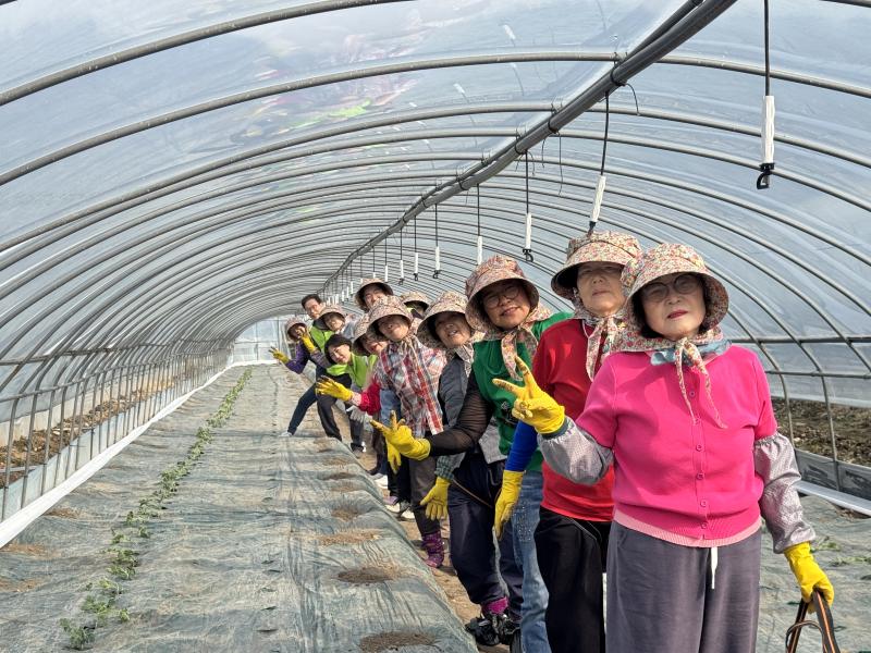 완주 고산농협, 영농철 일손돕기 및 영농 폐기물 수거 캠페인 실시