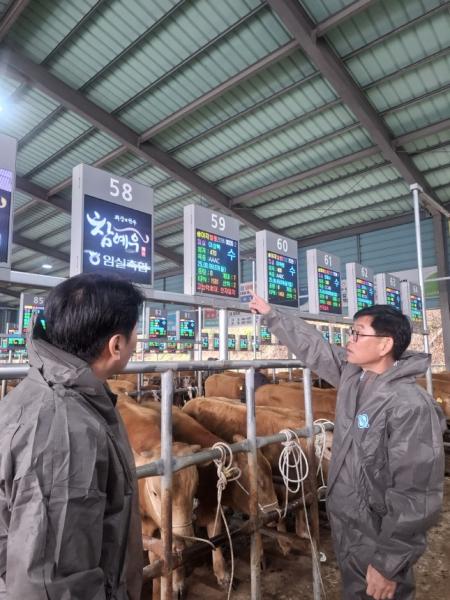 전북도, '고능력 한우 표시제' 첫 도입