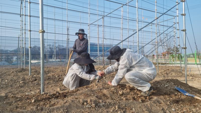 (수정)임실군,“과수 실증시험포”조성으로 명품 과수산업 육성 박차