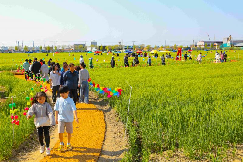 '보리랑 봄이랑' 군산꽁당보리축제