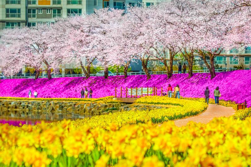 순창군, 2026년 공약이행평가‘3년연속 SA등급’역대 최고성과