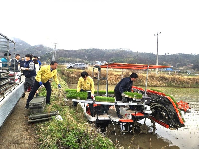 순창 풍산면에서‘첫 모내기’ 