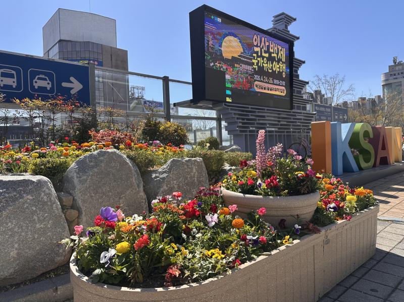 익산시, 도심 곳곳 '봄꽃 물결'